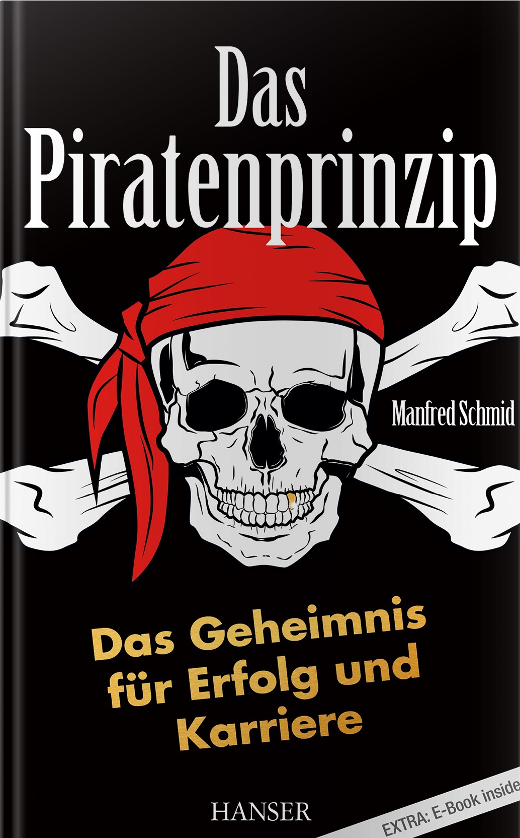 Manfred Schmid - Piratenprinzip